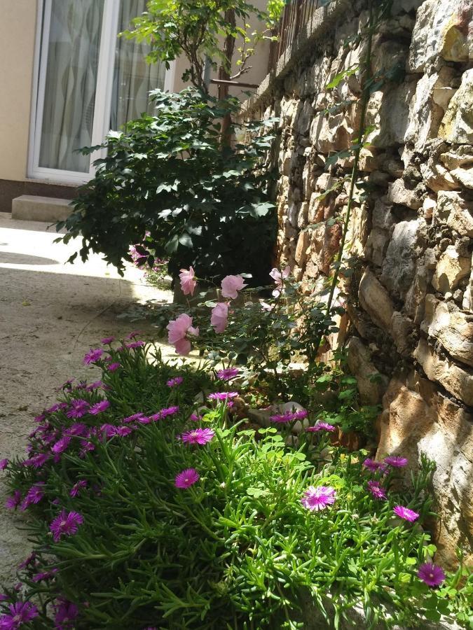 Istrianka Apartment PUY Exterior foto